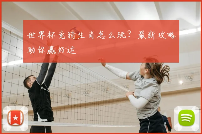 世界杯竞猜生肖怎么玩？最新攻略助你赢好运