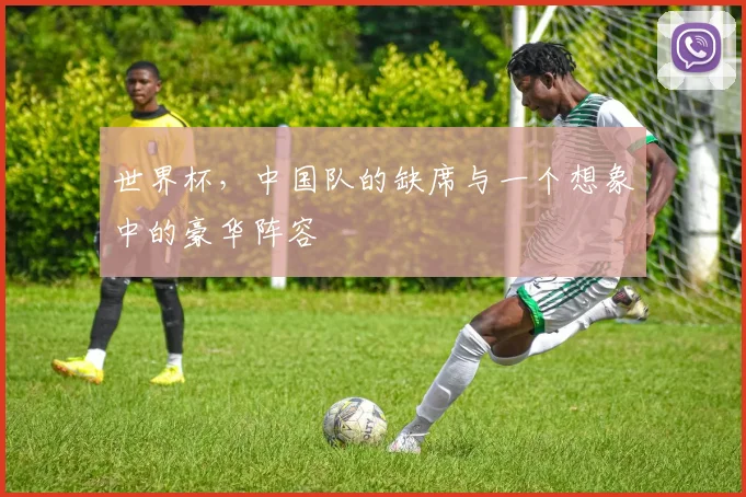 世界杯，中国队的缺席与一个想象中的豪华阵容