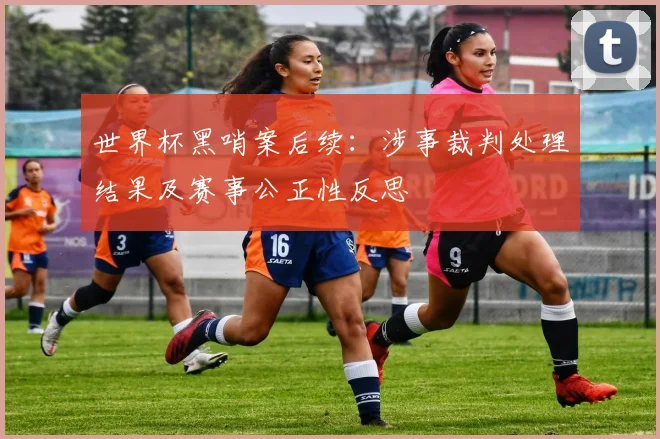 世界杯黑哨案后续：涉事裁判处理结果及赛事公正性反思