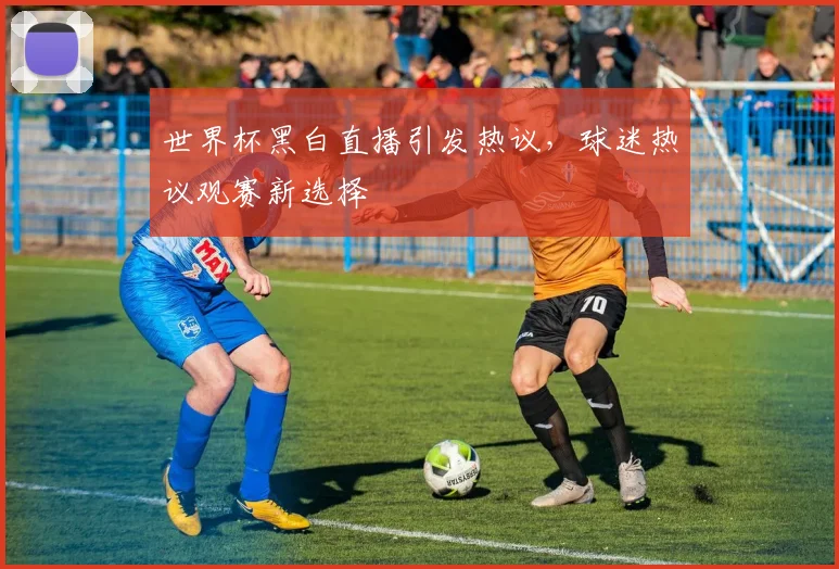 世界杯黑白直播引发热议，球迷热议观赛新选择