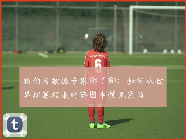 我们与数据专家聊了聊:如何从世界杯赛程表对阵图中预见黑马