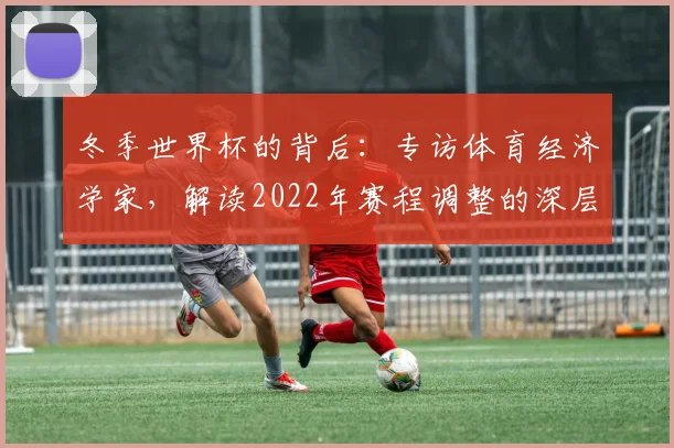 冬季世界杯的背后：专访体育经济学家，解读2022年赛程调整的深层原因